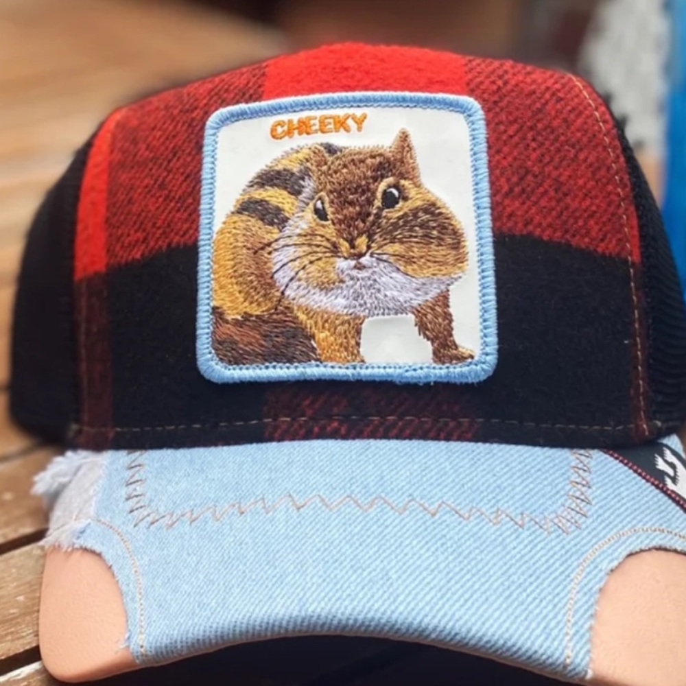 Goorin Bros “Cheeky” Hat